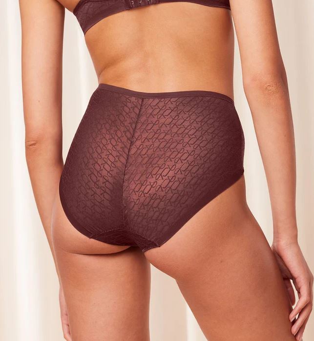 TRIUMPH SIGNATURE SHEER MAXI BRIEF