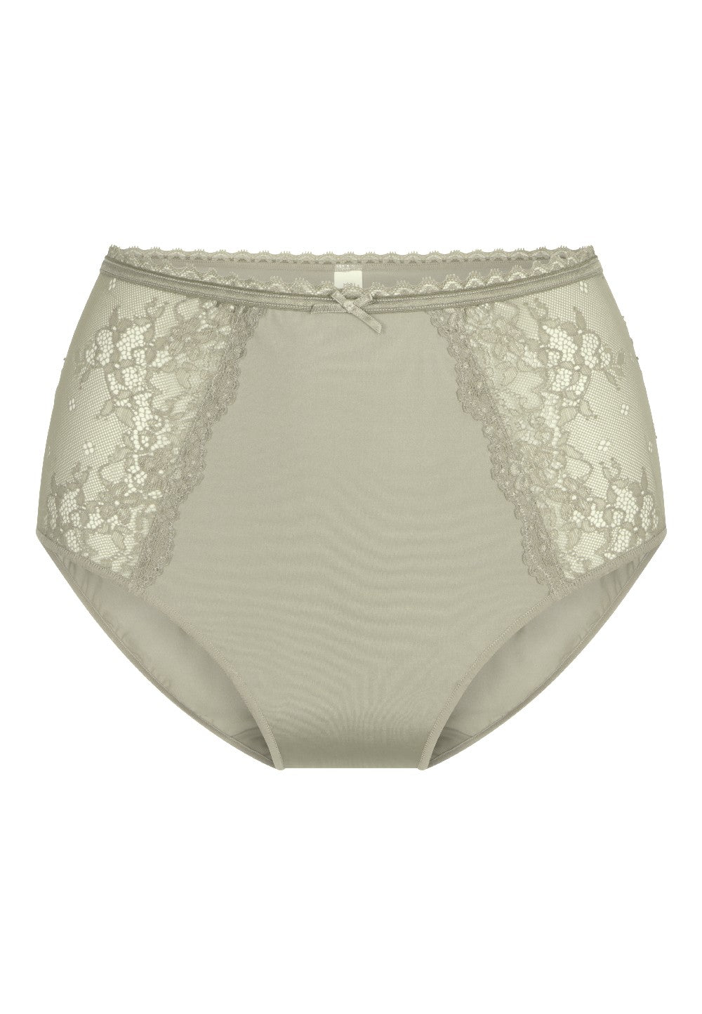 LINGADORE - HIGH WAISTED BRIEF