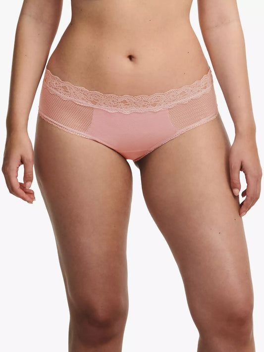 PASSIONATA BROOKLYN BRIEF