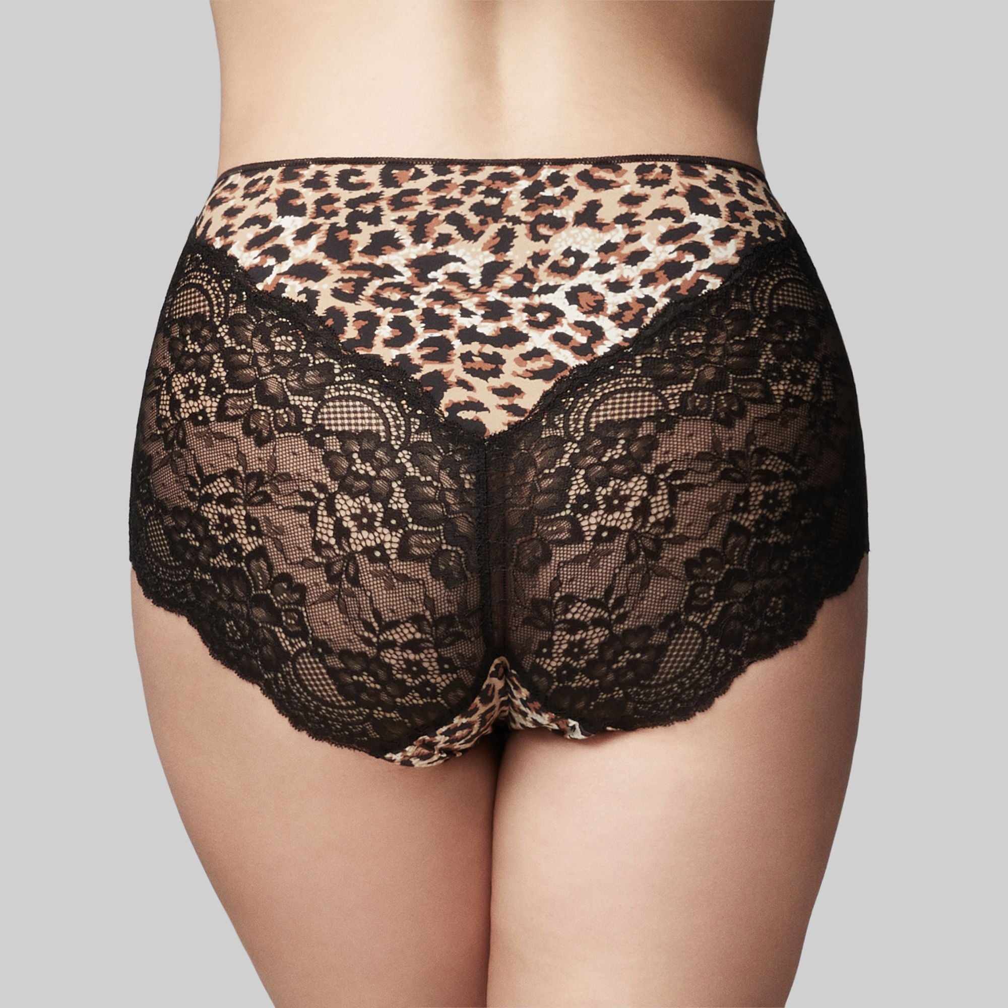 THE KNICKER - PRECISION LACE - FULL BRIEF